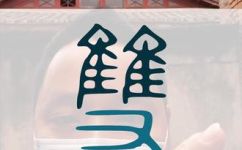 什么叫CP组合(了解CP组合？ 现在开始掌握CP组合的概念和重要性)