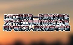 vdn是什么(探秘VDN：了解这项技术为什么越来越受欢迎)