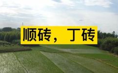 什么是丁砖丁砖的砌法(丁砖丁砖的砌法：了解这种传统砌墙技术)