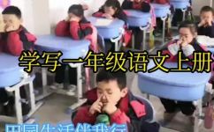 的的偏旁部首是什么(了解的字的偏旁部首是什么，深入理解汉字结构)
