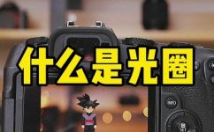 光圈范围是什么意思(了解光圈范围，拍摄更有技巧)