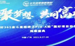 pp365什么东西(了解PP365：一种全新的互联网服务)