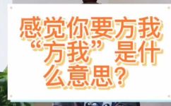 “我方了”是什么意思(揭秘我方了的含义，让你轻松get柿子流行语)