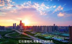 什么的夜里词语(夜晚的流行词汇，让你更了解深夜文化)