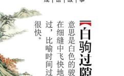 时光如白驹过隙意思(时光白驹过隙的含义以及其象征意义)