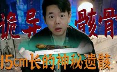 15厘米有多长(揭秘15厘米长度到底有多长？探寻真相)