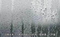 抽湿是干什么的(了解抽湿：改善室内空气质量的必要步骤)