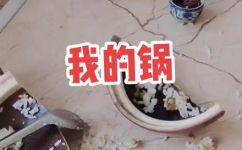 我的锅是啥意思(深入了解什么是我的锅是啥意思，让您走近互联网流行语)