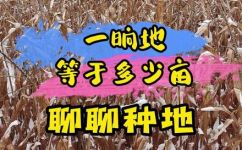 一晌地等于多少亩(一晌等于多少亩，追根究底的亩和晌的关系)
