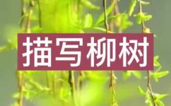 什么的柳丝形容词(最好的柳丝形容词排名)
