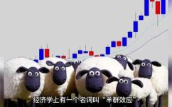 什么是盲目从众(如何避免盲目从众？掌握这些方法让你变得更独立自主)