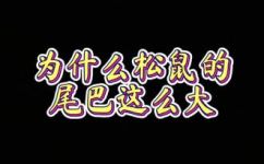 松鼠是哺乳动物吗(松鼠是哺乳动物吗？解答这个科学问题)