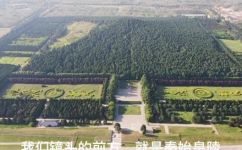 秦始皇的墓在哪里(寻找秦始皇墓，你知道它在哪里吗？)