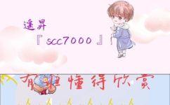 网络用语bushi是什么意思(深入解析网络用语bushi，探究其真正含义)