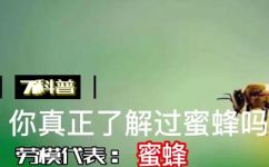 蜜蜂是什么动物(蜜蜂是什么？了解蜜蜂这一生物群体)