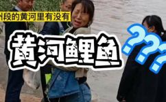 黄河里有鱼吗(黄河游泳，是否有可口的鱼儿？揭秘黄河里的生物资源)