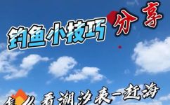 怎么看潮汐表(潮汐表应用教程：如何正确阅读和运用潮汐表)