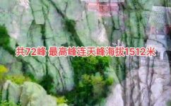 少林寺经典话语(优化标题：探秘少林寺经典话语，你知道多少？)