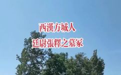 延尉是什么官(解密延尉：揭秘古代官员身份和职责)