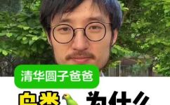 鸭子有牙齿吗(鸭子为什么没有牙齿？解密鸭子嘴巴的奥秘)