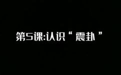 震卦代表什么(理解震卦：探究其象征意义与应用场景)
