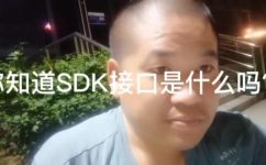 sdk接口是什么(什么是sdk接口？深度解析sdk接口的定义与作用)