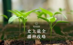 种子怎么用(种子使用指南：让你在种植中更得心应手)
