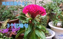 花儿像什么比喻句(揭秘这些神奇花儿是怎样用比喻句形容的？)