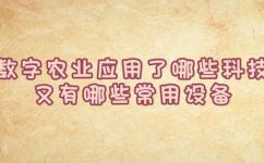 数农是什么(了解数农：探秘数字化农业的未来)