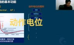 局部电位动作电位(优化标题：了解局部电位动作电位的基本概念及作用)