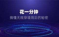 什么是越墙(越过网络防火墙的方法 - 探究越墙现象)