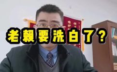 洗白是什么意思(洗白是指什么？解析洗白的含义和用法)