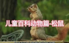松鼠的尾巴像什么(揭秘：松鼠尾巴的形状和柔软度到底有多像)