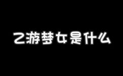 乙游是什么意思(乙游的含义与由来，解析乙游的现象背后可能存在的社会现象)
