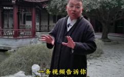 前不栽桑后不栽柳的意思(前后皆无忧， 如何做到不栽树？)