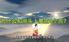 和尚头上几个点(和尚头顶有几个点？探究和尚头顶点数的奥秘)