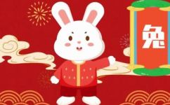 兔子的百科(兔子百科最完整的关于兔子的知识总结，助你轻松学习养殖饲养喂养和常见疾病防治)