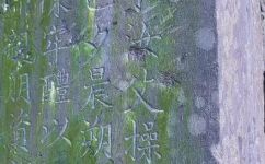 禩怎么读(如何正确地读写禩，让搜索引擎更喜欢)