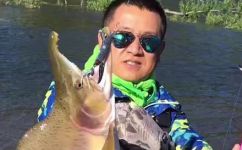 大马哈鱼是三文鱼吗(大马哈鱼和三文鱼有什么区别？)