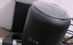 树新蜜蜂什么意思(探秘树新蜜蜂的含义，了解其文化背景和象征意义)