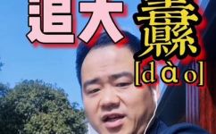 大扑是什么意思(解密大扑的含义，揭示其背后的文化与历史)