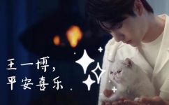 喜乐平安是什么意思(探秘喜乐平安的涵义了解喜乐平安的真正含义)