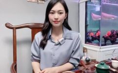 年卡是什么意思(年卡是指什么？深度解析，购买须知与使用技巧)