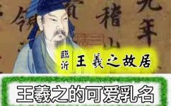 草字头一个兔念什么(草字头兔子念什么？探究兔子的语言与行为)