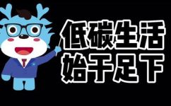环保理念有哪些(探讨环保理念：从减少碳足迹到推动可持续发展)
