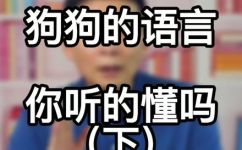 ?狗东西是什么意思(揭秘？狗东西的真实含义，你了解吗？)