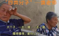 四类分子指的是哪四类(解密四大类分子到底是指哪四种？)