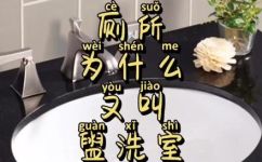 什么叫盥洗池(盥洗池是什么？使用维护攻略，了解一下)