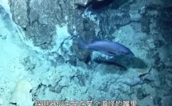 一什么深沟(揭秘深沟之谜：探究其中的奥秘)