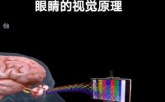 视觉原理是什么(深入解析视觉原理，让你准确掌握设计技巧)